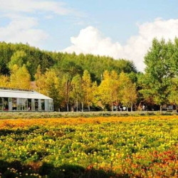 特价机票:东方航空 上海-北海道札幌5天往返含