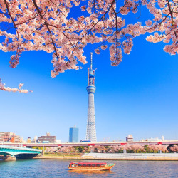 特价机票:春秋航空 武汉天津重庆-东京大阪8日