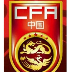 2017年中国足协中国之队国际足球赛中国国家