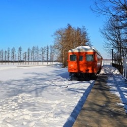 冬季滑雪:上海-日本北海道5日自由行(2晚滑雪度