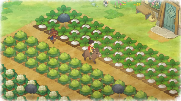 重返游戏:《塞尔达传说 梦见岛》确认重制,《火